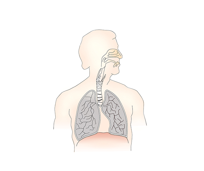呼吸道&肠道感染检测